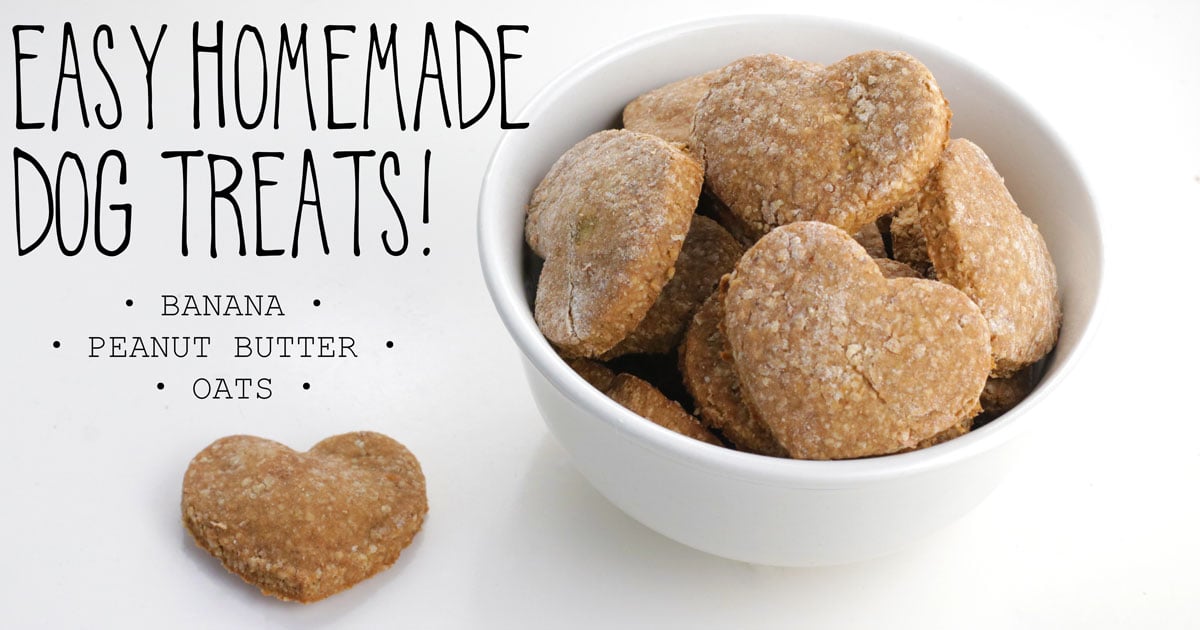Simple Homemade Dog Treat Recipes: From Oat Pretzels to PB Biscuits