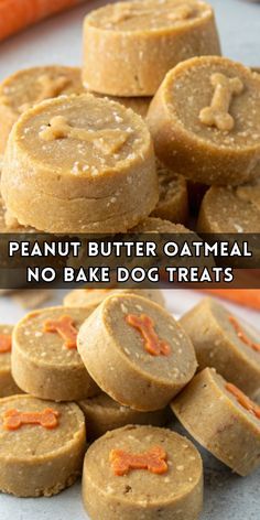 Spoil Your Pup: Diverse Homemade Dog Treat Recipes for All Ages